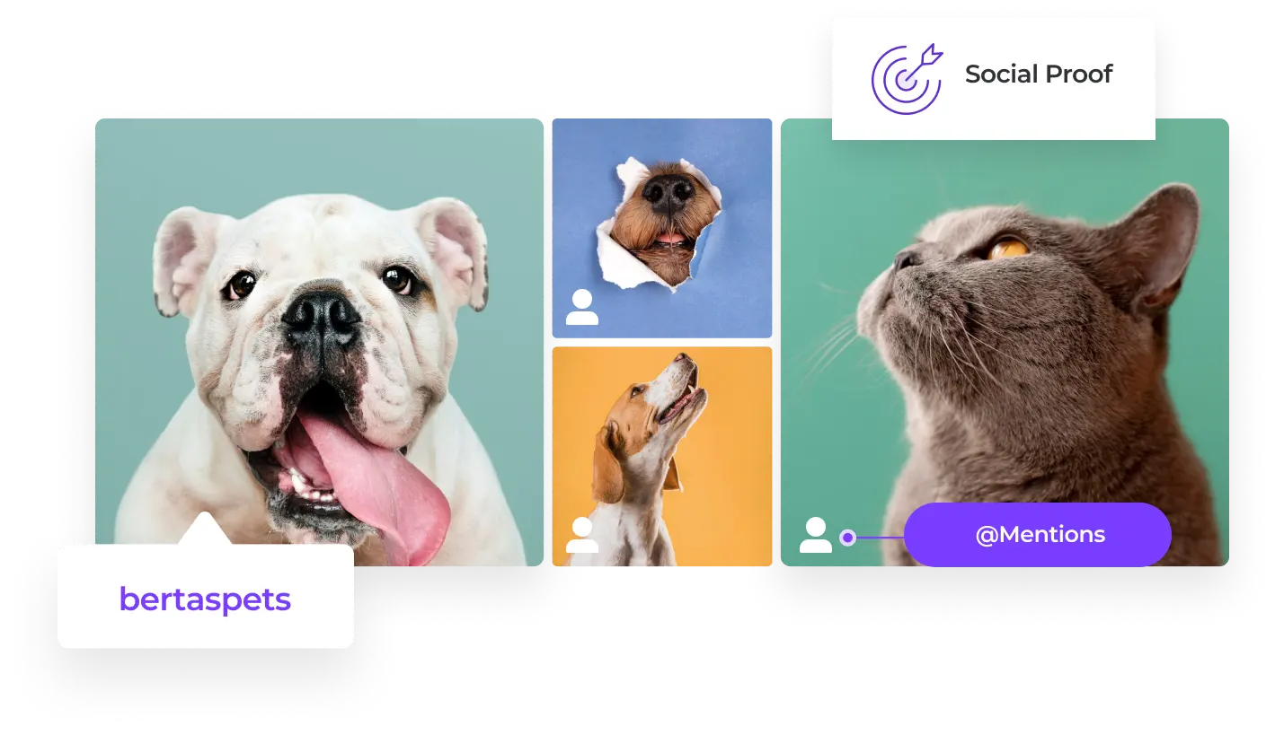 Display Instagram posts in which your account has been tagged.