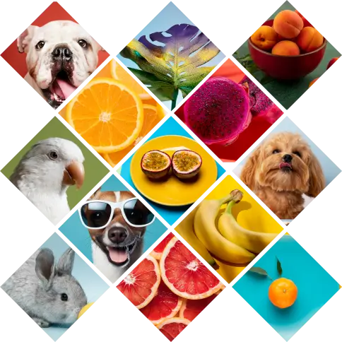 Layout Creative Grid