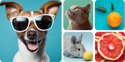 Layout Highlight Super