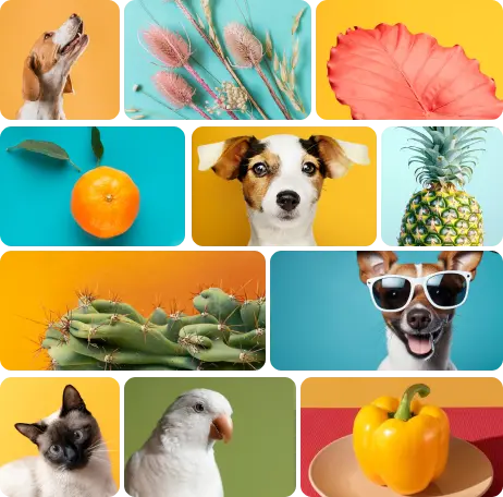 Layout Masonry Horizontal